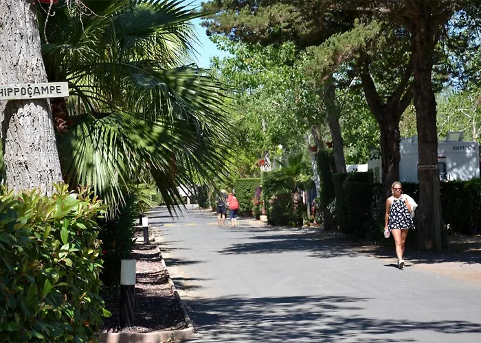 Camping Les Salisses - Maeva