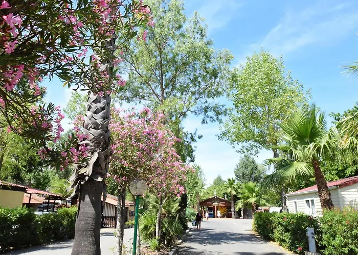 Camping Les Salisses - Maeva