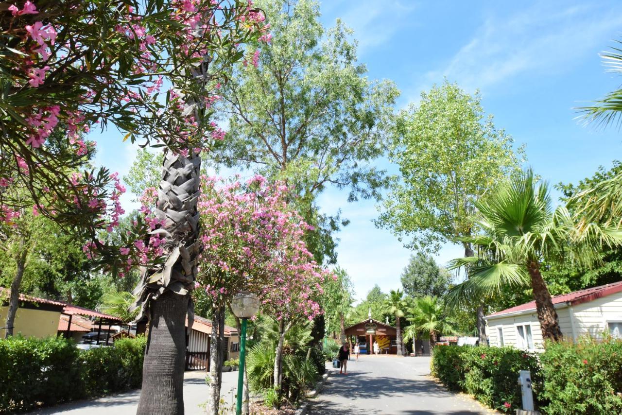 Campsite Les Salisses - Maeva